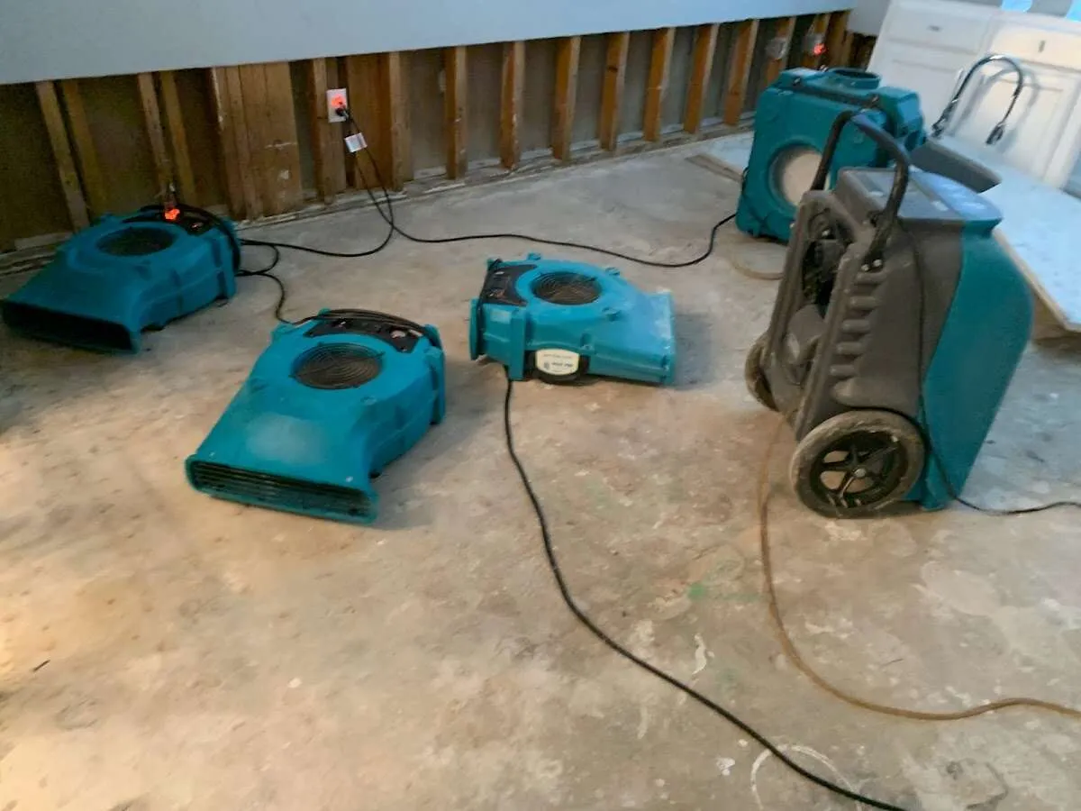 Basement Flood Cleanup in Arlington, MA
